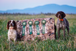 4T's Gun Dogs place picture