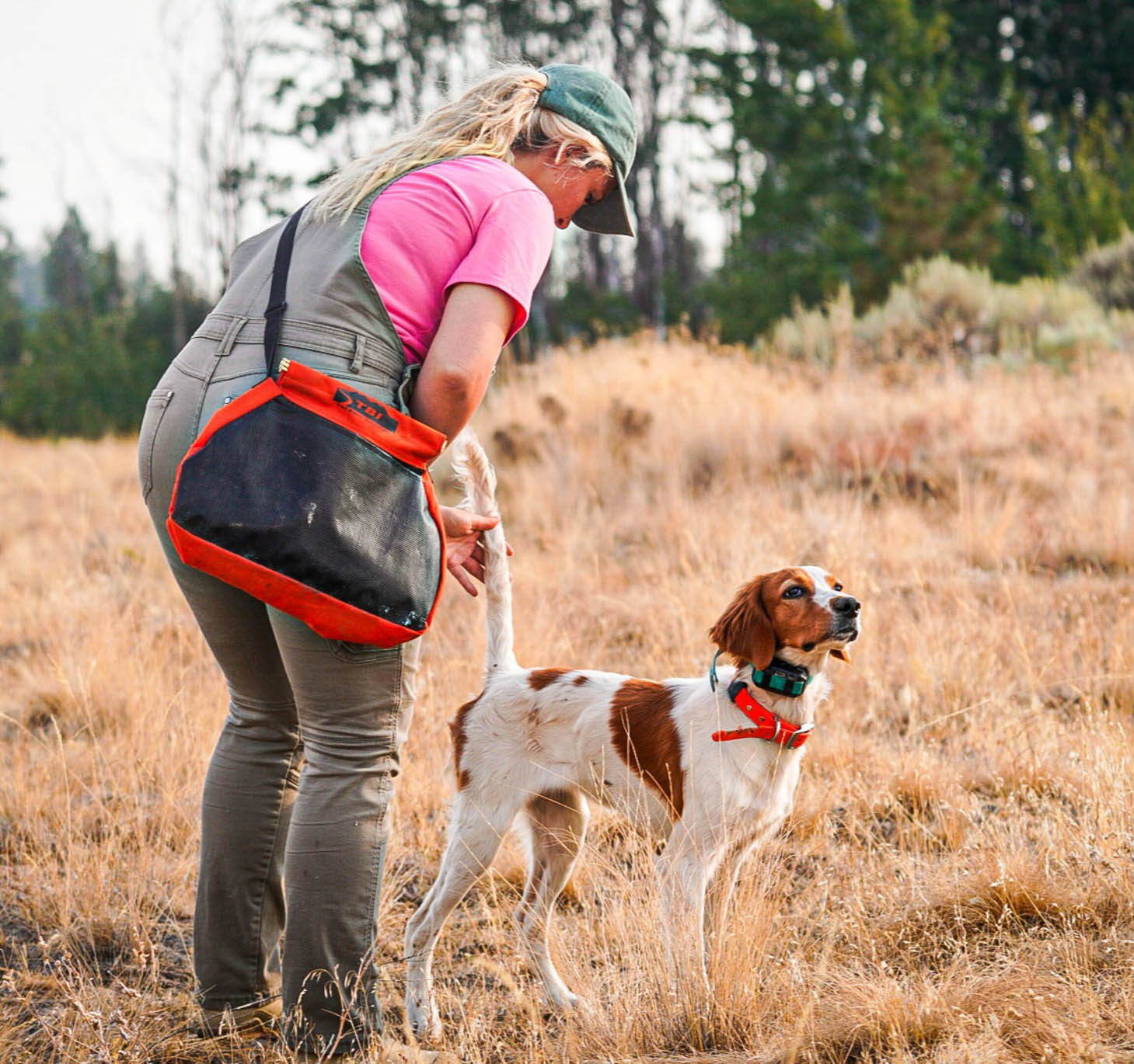 April working with a hunting dog during field training