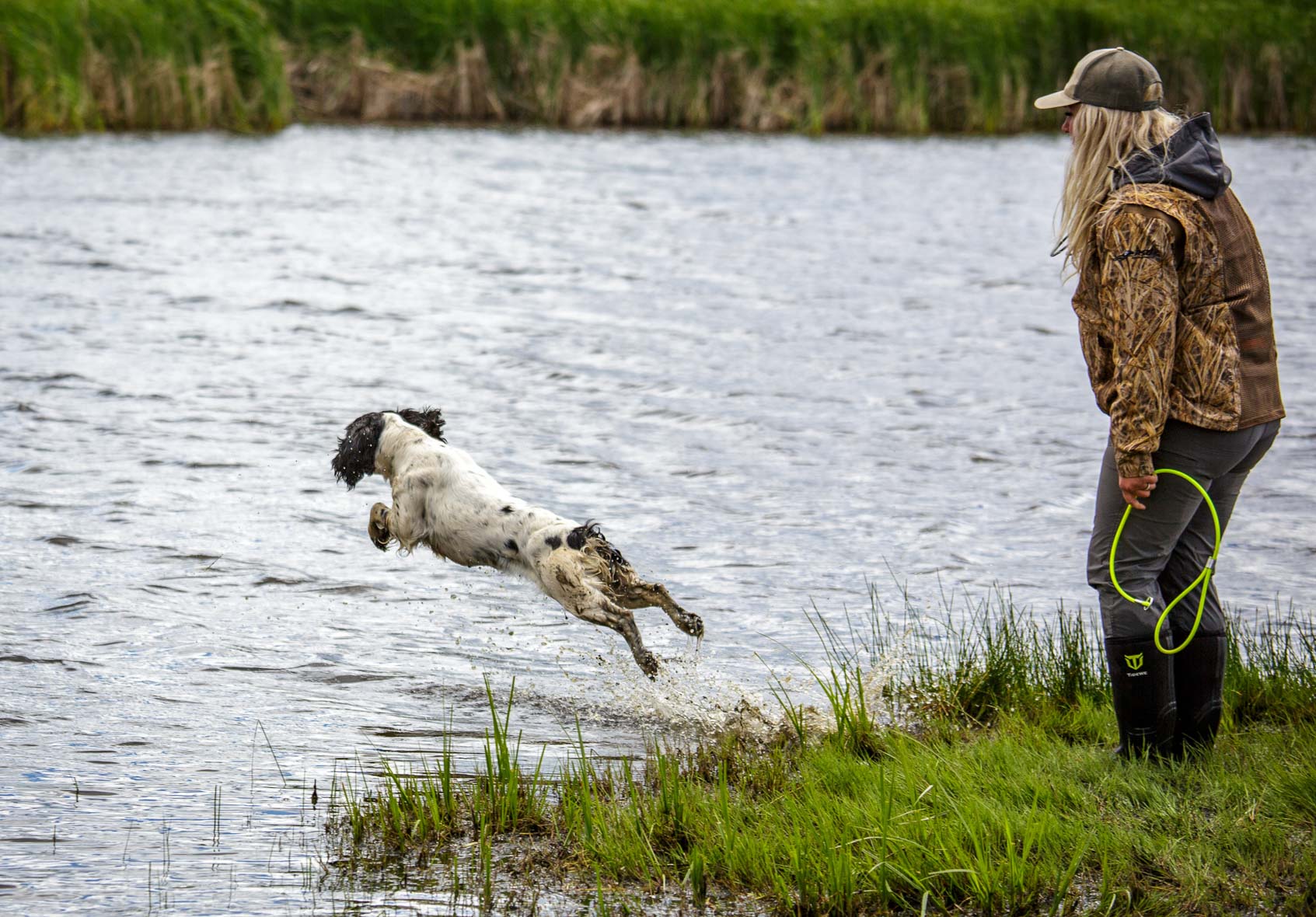 Hunting dog retrieving a game bird in snowy field conditions